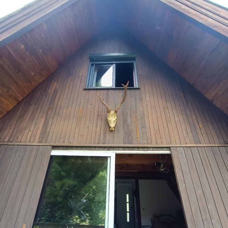 Chalet- Vallee De Luchon - Vallee De La Pique Cierp Экстерьер фото
